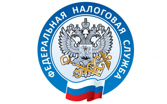 УФНС России по Новосибирской области напоминает о способах оплаты задолженности по налогам